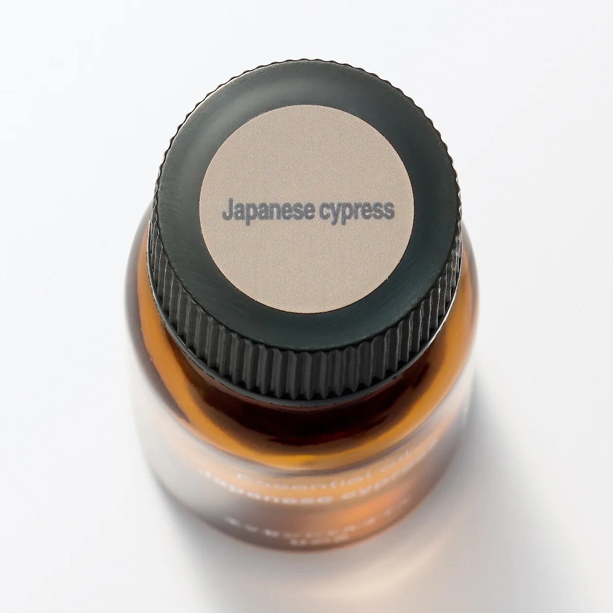 Essential Oil - Japanese Cypress - Image 3