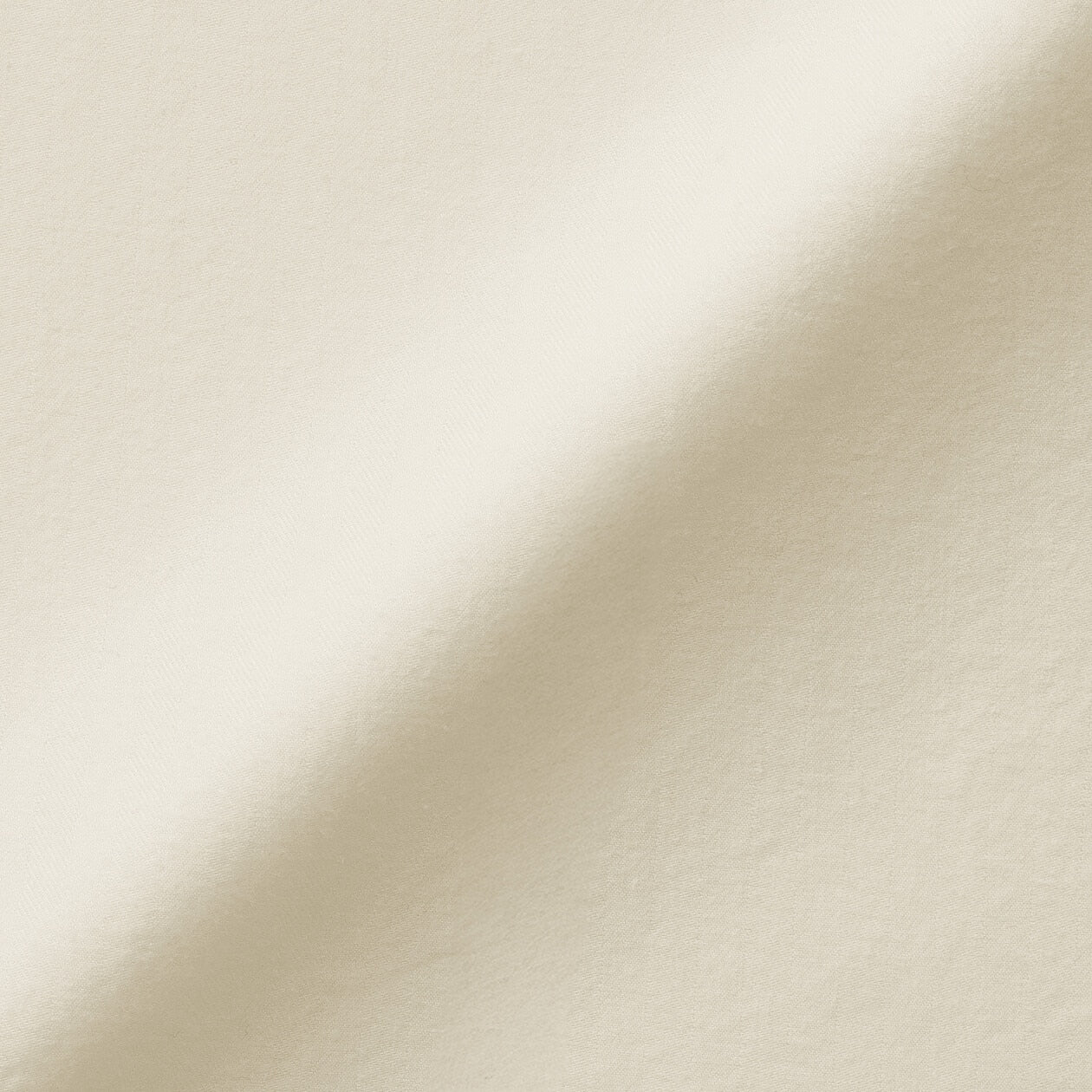 Brushed Cotton Twill Collared Shirt - Image 4