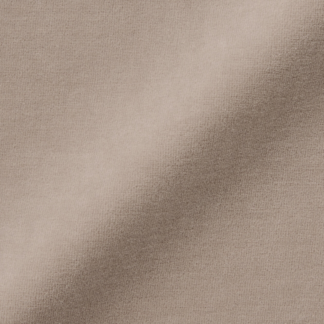 Cotton Velour French T-Shirt - Image 31